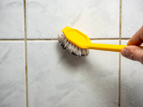 Trusted Darlington, SC Mold Removal Experts