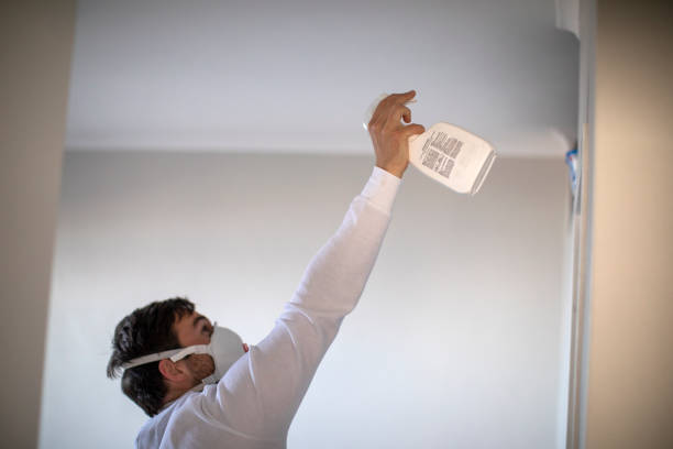 Best Mold Damage Repair  in Darlington, SC