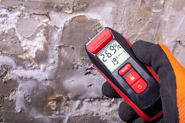 Office Mold Removal Services in Darlington, SC